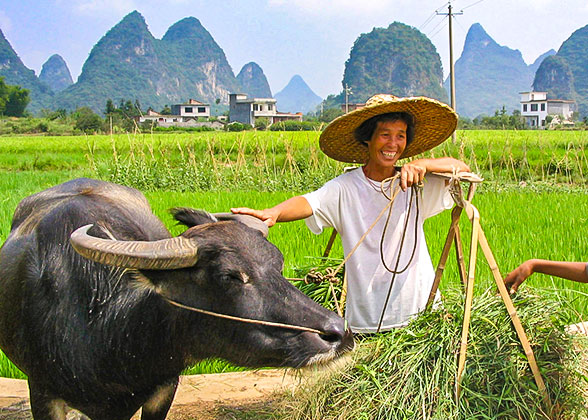 Yangshuo Rural Scene