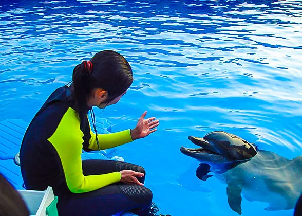 Ocean Park, Hong Kong