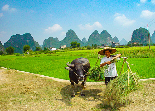 Yangshuo rural scenery