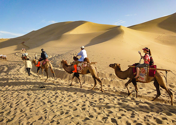Silk Road Camel Riding