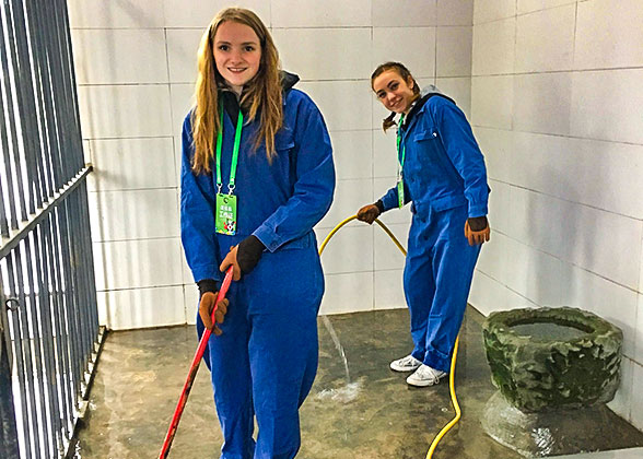 Clean the Working Area