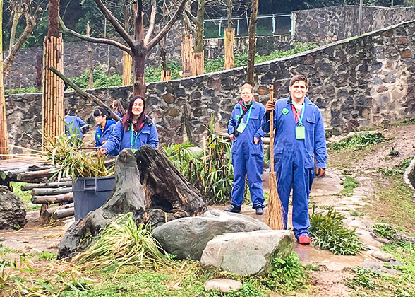 Clean Pandas' Activity Areas