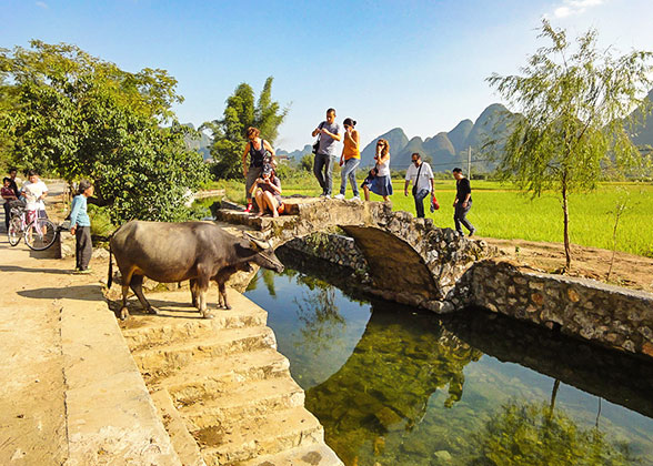 Rural Scenery of Yangshuo