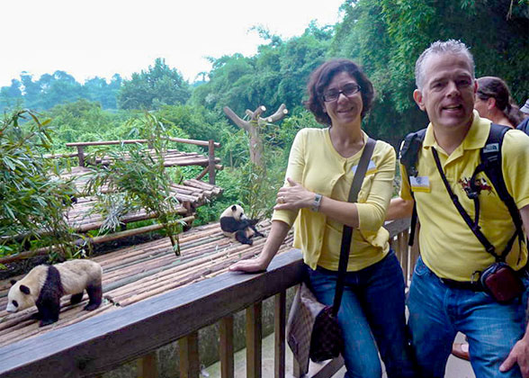 Chengdu Panda Base Chengdu Panda Base