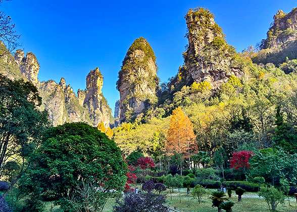 Zhangjiajie Forest Park
