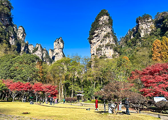 Hike in Zhangjiajie National Forest Park