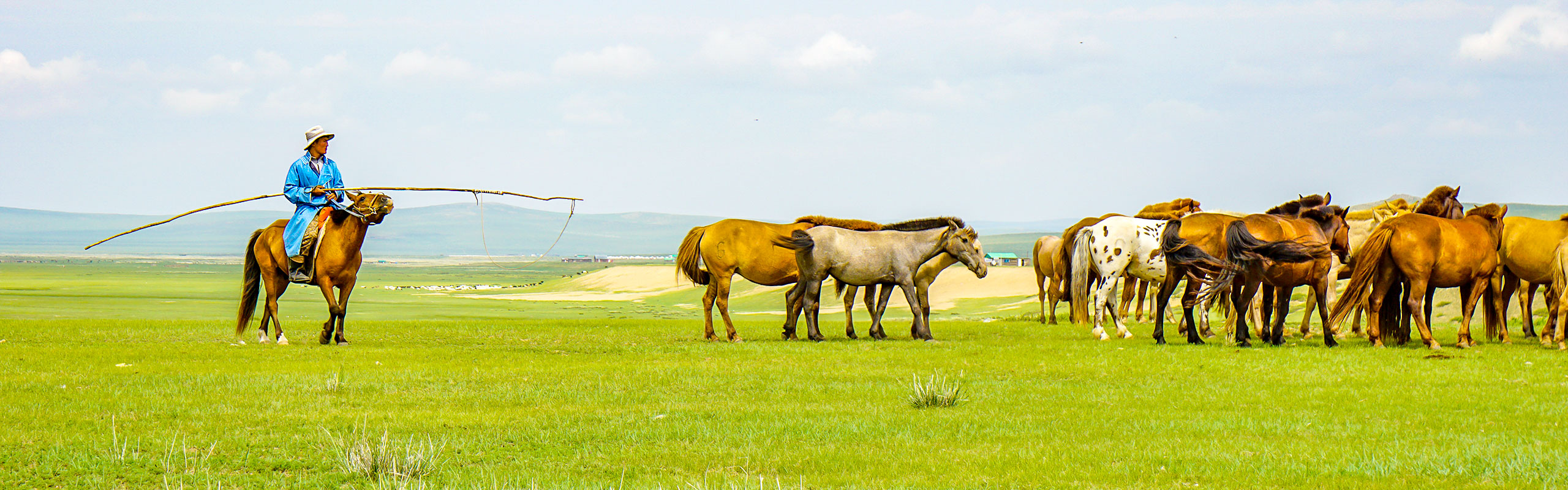 Mongolia grassland