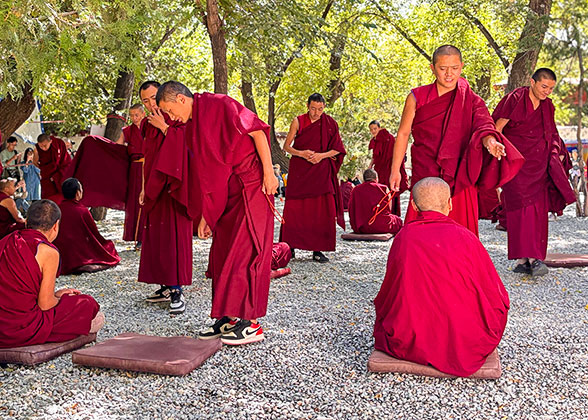Monks Debating in the Sera Temple Monks Debating in the Sera Temple