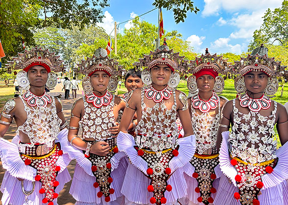 Tea Plantation in Sri Lanka