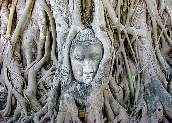 Wat Mahathat, Ayutthaya