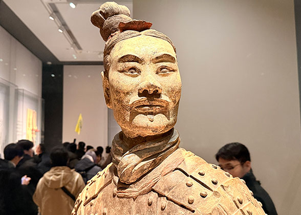 Vivid Face of a Terracotta Warrior